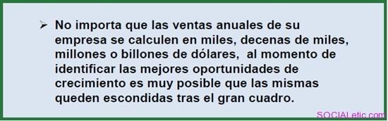 el crecimiento granular en la estrategia de crecimiento de una empresa