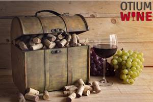 comprar vinos online