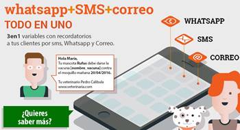 marketing utilizando WhatsApp