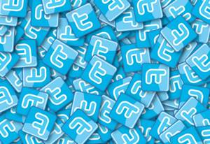 SEGUIDORES EN TWITTER