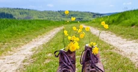 psicoterapia sistemica