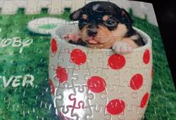 hacer un puzzle con imagenes propias