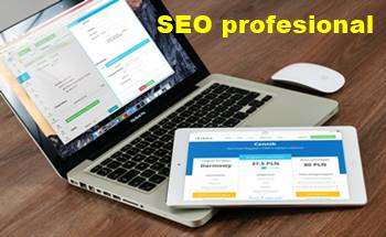 seo profesional